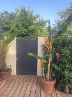 Corsica Bella - 4
