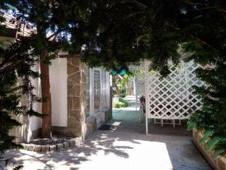House with flowers - 9