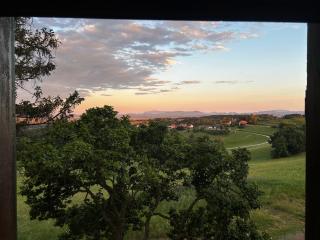 Villa Mestni Hill - 1
