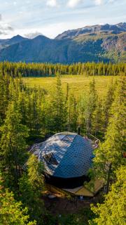 Tree Dome - Luxury Glamping with Mountain View - 7