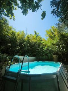 Maisons provençale piscine et jacuzzi - 8