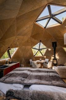 Tree Dome - Luxury Glamping with Mountain View - 9