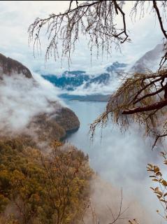 Fewo Wald & Wiese - 4