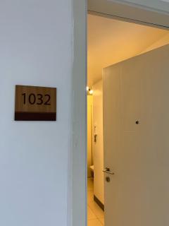The Mono - 2