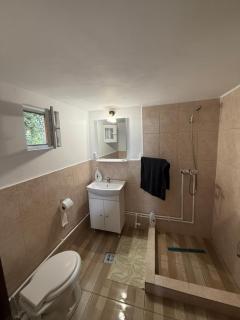 Casa din Deal - 7
