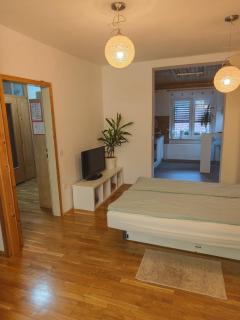 Apartma 198 - Kranjska Gora - 9