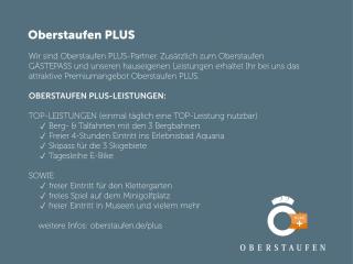 Staufenhirsch Apartment mit Oberstaufen Plus - 9