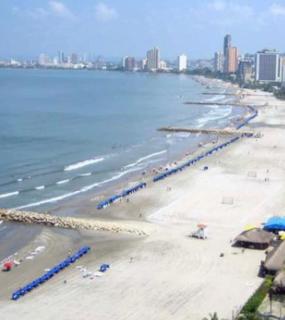 Entire oceanfront apartment - 4