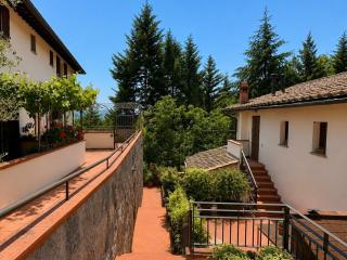 Mugello Dream - 1