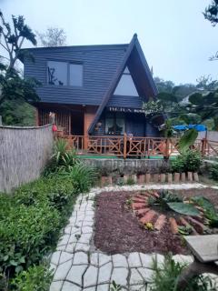 bera bungalov suit - 1