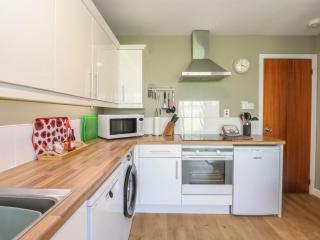 Steam Cottage - Aviemore - 1