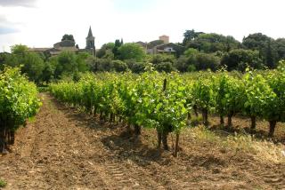 Balnéo pour 2 dans petit village proche mer & Montpellier - 6