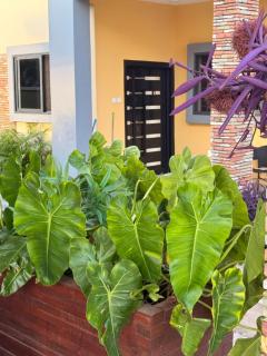 Palm Pebbles Staycation Deluxe Suite Near Tamale Airport Starlink Wi-Fi, solar powered king bed - 5