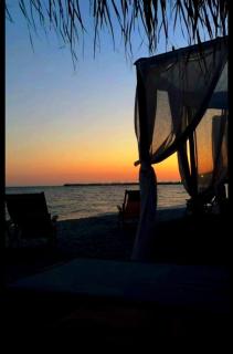 Family's Place Durres - Apartment - 0