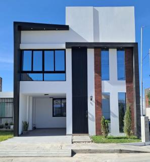 CB Oasis Signature - 7