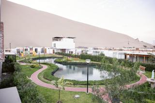 CB Oasis Signature - 6