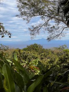 Rio de Luz - 6