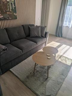 neu renoviert - modernes Ferienhaus in Nordseenähe - 1