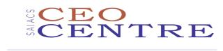 Saiacs CEO Centre - 9