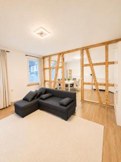 Sufy da Vinci Apartments Bad Wildbad - 8