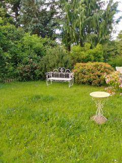 Waldblick - 3