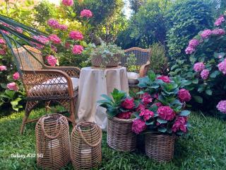 Maisonette on the beach with small garden - 9