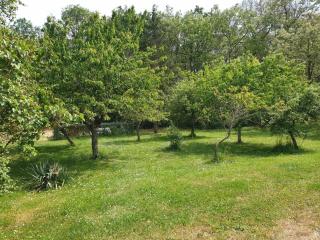 La Tuilerie Lixy Brannay - 2