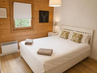 Beautiful Apartment with views of Mont Blanc - 9