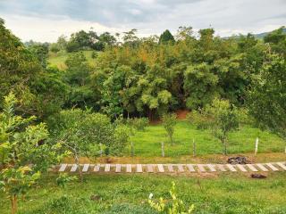 Posada Campestre en Doradal - 1