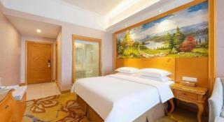 Vienna Hotel Guangdong Dongguan Chengnan Station - 6