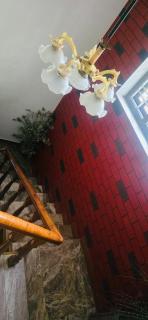 Cozy Coffee Estate Homestay Coorg Madikeri - 6