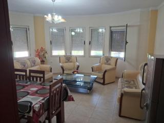 Ema apartment - Pogradec - 8