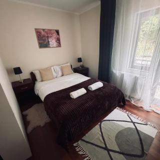 Casa Trei Brazi Bratca - 4