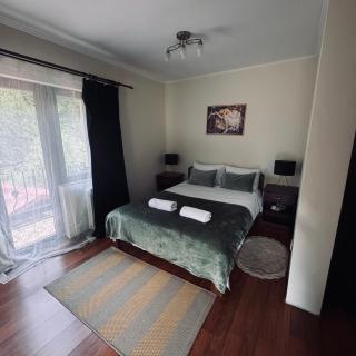 Casa Trei Brazi Bratca - 7