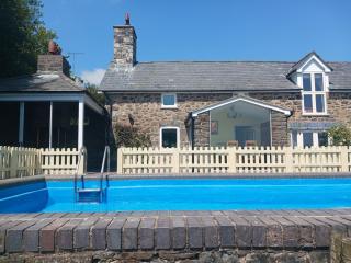Bryn Y Garreg Cottage - The Wireless Free Farm - 0