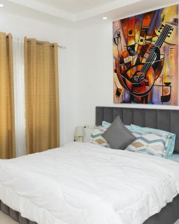 The Afrofusion Modern 2 bedroom apartment - 3