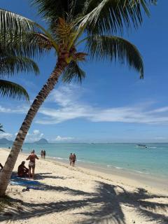 Tropical Haven 3Bedrooms Appartment - 8
