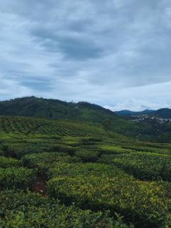 LexStays at Anughraha Coonoor - 3