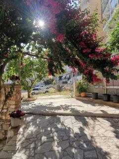 Villa Nest - 6