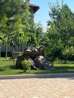 Gurra resort - 8