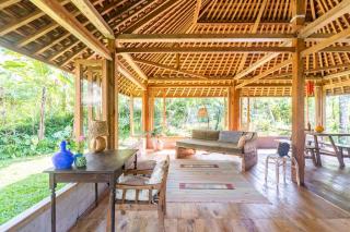 Cosy Cottage Living Harmoniously - 3