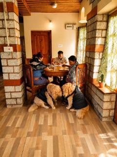 Snow Peaks & Valley Views, Pet-Friendly, Hallan - 2