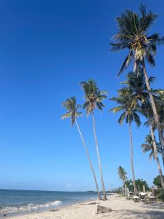 Livies Place - 4