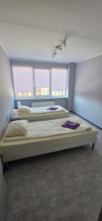 LionEstateHostel - 7