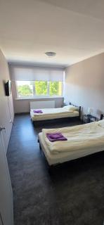 LionEstateHostel - 8