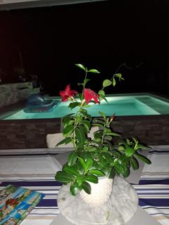 Toki Eder chez Marisol, piscine chauffée, décoration soignée et océan à 15 minutes entre Bayonne et Hossegor - 7