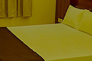 Hotel Pinecrest Inn Darjeeling - 3