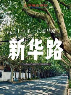 Dayin International Youth Hotel-Near Xinhua Road -Jiaotong University -Free Laundry Luggage Storage -24H Front Desk-English Service - Shanghai - 6