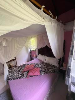 Gite d'arles Bungalow "La Rose" - 5