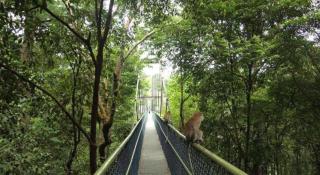 Checkers Backpackers - 6